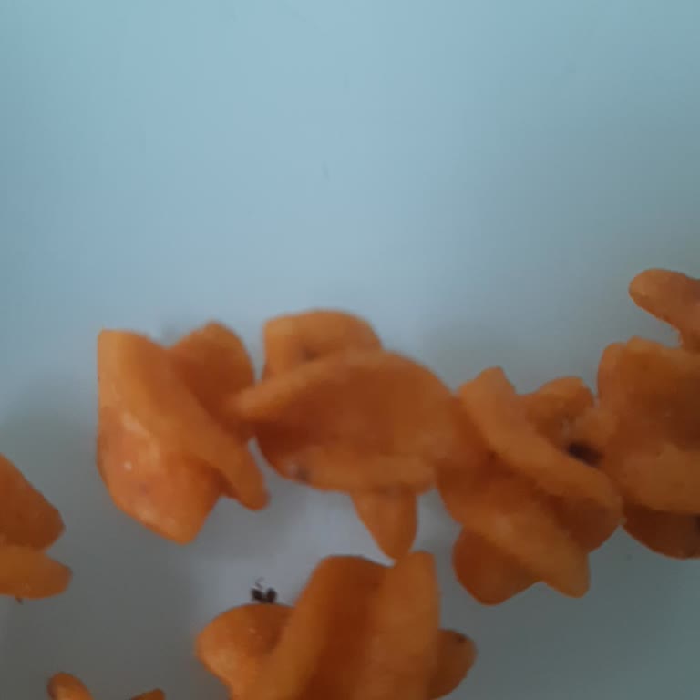 Şok Marketten Aldığım Doritos Cipsinde Ölmüş Karınca Bulunması