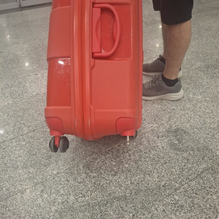 Sunexpress Valiz Hasarı Ve Tazminat İhmaline Karşı Şikayet