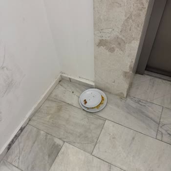 Dolce By Wyndham Otelinde Hijyen Sorunları Ve Kaba Personel Tutumu