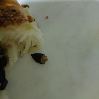Zeytinli Açmada Çekirdek Sorunu: Diş Hasarı Ve Kalite Kontrol Eksikliği