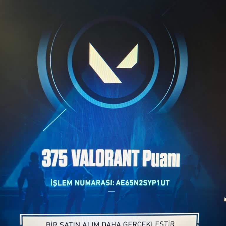 Pinly Vp Satın Aldım 4325 Beklerken Sadece 375 Geldi Ve Destek Yok