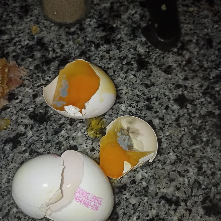 Pendik A101 Şubesinde Bozuk Yumurta Ve Kedili Hijyen Sorunu