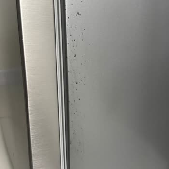 Beko Nofrost Buzdolabında Renk Solması Garanti Kapsamında Değişim Talebi
