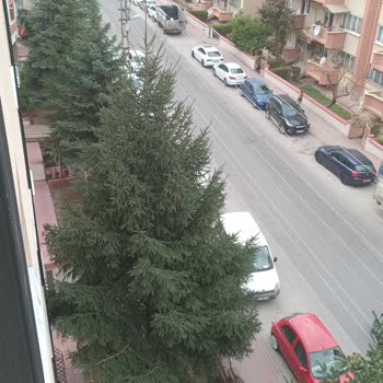 Eki aç