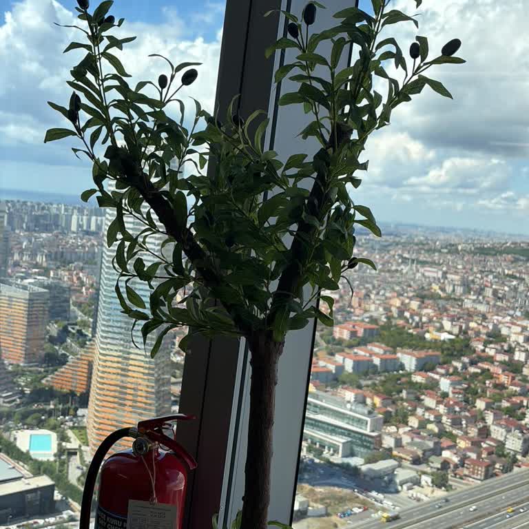Görseldeki Zeytin Ağacıyla Uyuşmayan Ürün, Cevapsız Müşteri Desteği