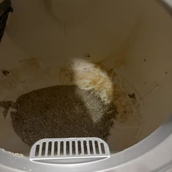 Garanti Kapsamında Kedi Tuvaleti Kırılması Ve Ücretsiz Değişim Talebi