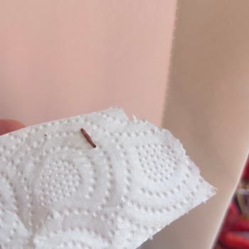 Canlı Böcek İçeren Dut Kurusu Ürünü İade Reddi
