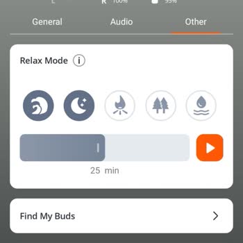 Kayıp Sol JBL Tune Flex 2 Kulaklık İçin Yedek Parça Talebi