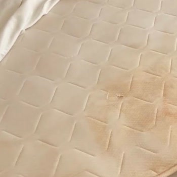 Amon Hotel Belek’te Temizlik Ve Gıda Hijyeninde Büyük Eksiklikler