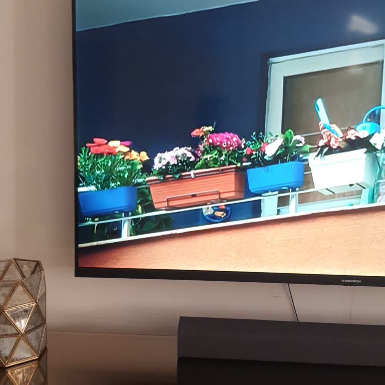 Teknosa'dan Aldığım Thomson Televizyonun Ekran Kararması Ve Değişim Talebim