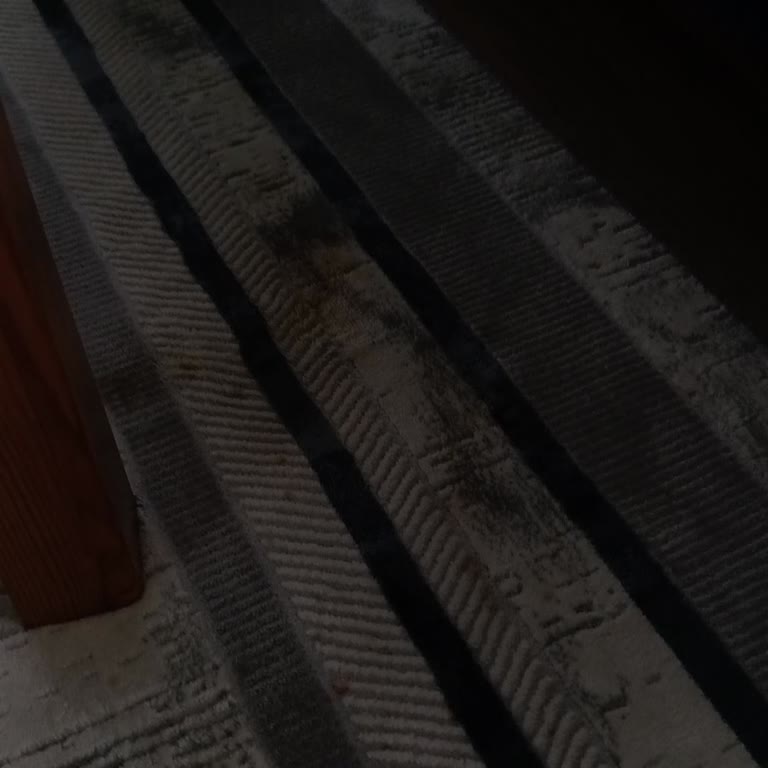 Kurye Dikkatsizliği Ve İçki Sıçraması Evi Kirletti