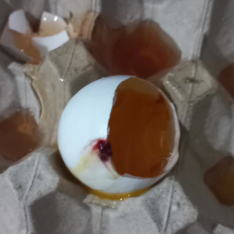 Şok Markette Kan Pıhtısı İçeren Ve Yarı Kırık Yumurtalar