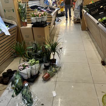 Personel Dağınıklığı Ve Görev Yetersizliği Mağaza Yönetimini Sorumlu Tutar