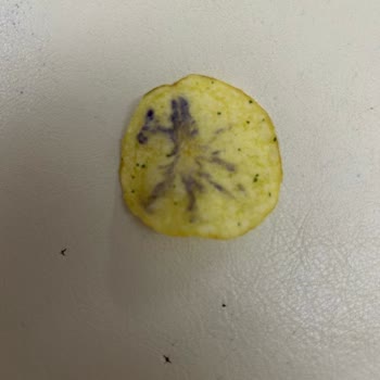 Lay’s Yoğurtlu Cips Paketi İçinde Boyalı Cips Bulunması