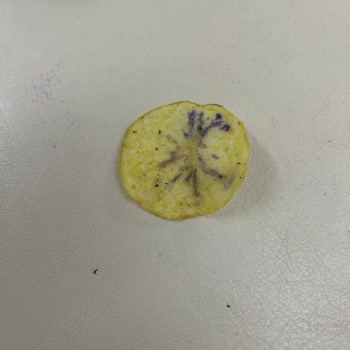 Lay’s Yoğurtlu Cips Paketi İçinde Boyalı Cips Bulunması