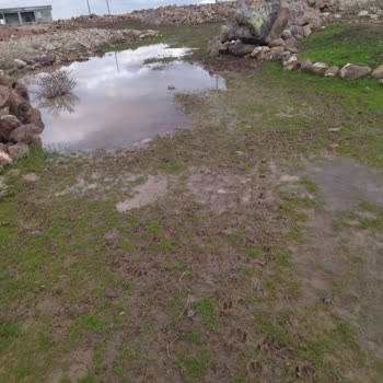 Karıncalı Mahallesinde Yol Sorunu Ve Acil Çözüm Talebi