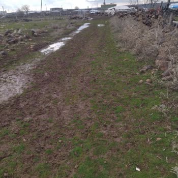Karıncalı Mahallesinde Yol Sorunu Ve Acil Çözüm Talebi