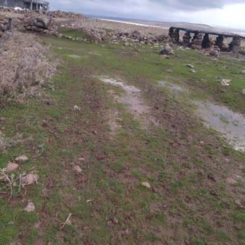 Karıncalı Mahallesinde Yol Sorunu Ve Acil Çözüm Talebi