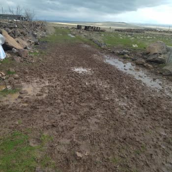 Karıncalı Mahallesinde Yol Sorunu Ve Acil Çözüm Talebi