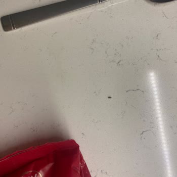 Erişte Paketi İçindeki Böcekler ve Gıda Güvenliği Şikayeti