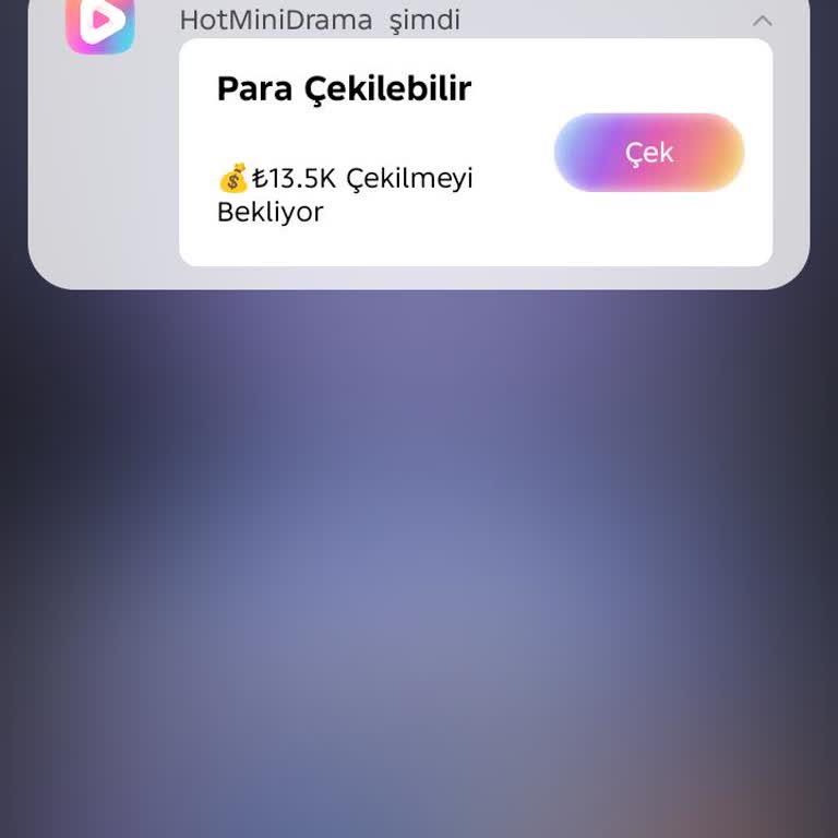 Hotminidrama Uygulamasında 13,5 Bin TL Çekim Sorunu Ve İnternet Telafisi Talebi