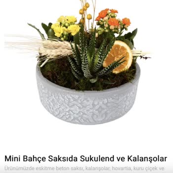 Çiçek Market Sipariş Edilen Mini Bahçe Saksısının Yanlış Gönderilmesi Ve İade Talebi