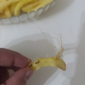 Tukaş Dondurulmuş Patatesinde Filizlenme Ve Siyah Lekeler, A101 Sorumluluk Almıyor