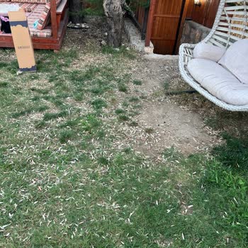 E-Villam Karşılaştığımız Manzara Görsellerle Hiçbir Şekilde Uyuşmuyordu