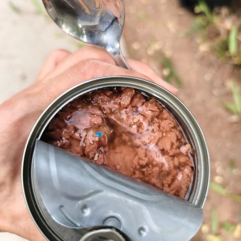 Frog Pet Challenge Yavru Yaş Mama İçinde Plastik Parça Bulunması Ve Satıcıdan Çözüm Reddedilmesi