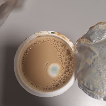 Küflü Torku Sütlü Macchiato Ürününün Raflarda Satılması