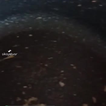 Korkmaz Tava Kabarması
