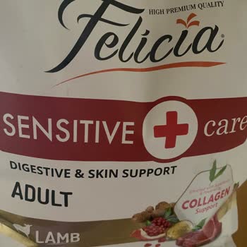 Felicia Kuzu Etli Mama Küçük Taneler Nedeniyle Kediler Tarafından Reddedildi