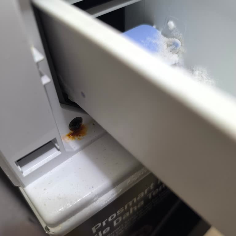 Arçelik Çamaşır Makinesinde Su Alma Kısmında Paslanma