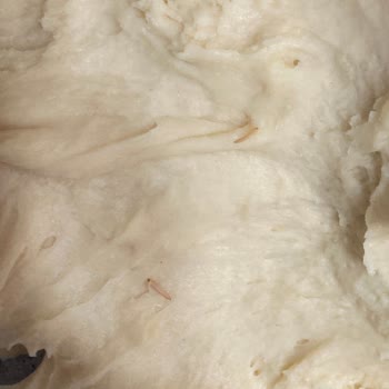 Kapalı Ambalajlı Un’da Canlı Larvalar Bulundu