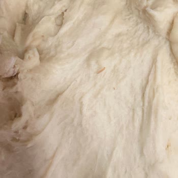 Kapalı Ambalajlı Un’da Canlı Larvalar Bulundu