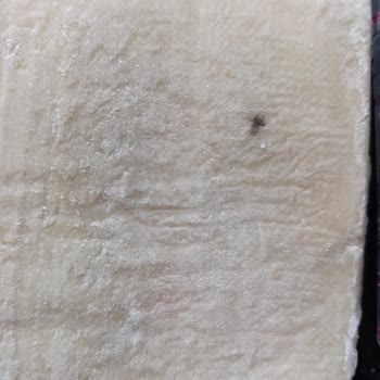 Şok Market'ten Alınan Milföy Hamurunda Sinek Bulunması Sağlık Ve Hijyen Endişesi