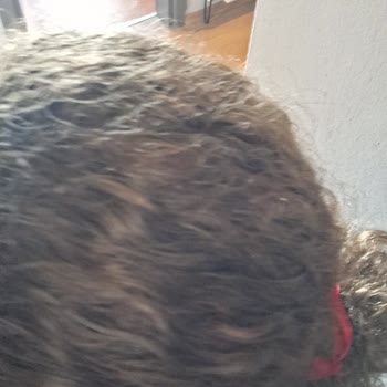 Bal Köpüğü Saç Boyası Renk Yanıltması Saçları Yıprattı