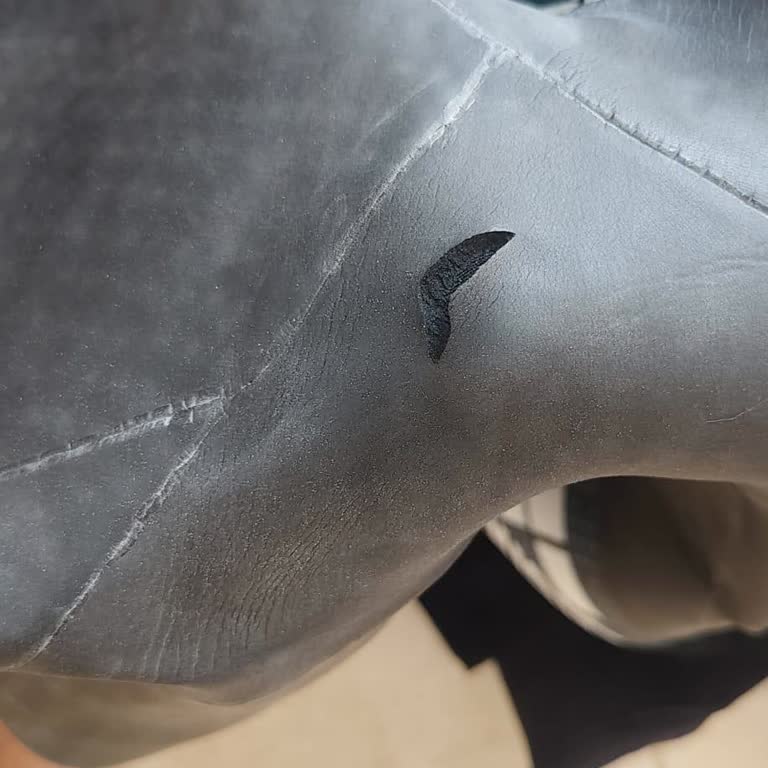 Teslimde Yırtık Bulunan Wetsuit Ve Açıklama Olmadan İade Reddi