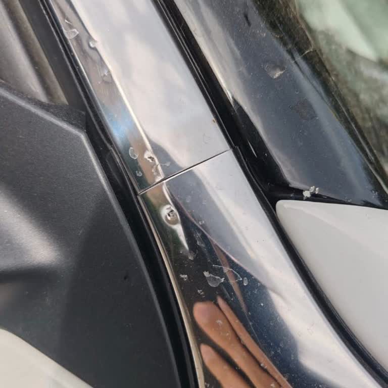 Sağ Kapı Krom Çıta Sorunu Ve Garanti Kapsamında Ücretsiz Değişim Talebi