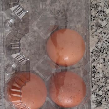 Bozulmuş Yumurta Satışı Ve Yanlış Saklama Koşulları Sağlık Tehlikesi Yaratıyor