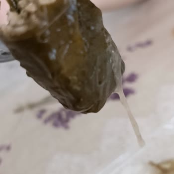 Şok Market'ten Satın Alınan Yaprak Sarma İçinde Sümüksü Sıvı Ve Kuru Doku: Gıda Güvenliği Endişesi