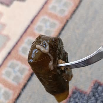 Şok Market'ten Satın Alınan Yaprak Sarma İçinde Sümüksü Sıvı Ve Kuru Doku: Gıda Güvenliği Endişesi