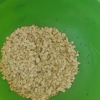 Böceklenmiş Yulaf Ezmesiyle Sağlık Korkusu, Eti’nin İlgisiz Tavrı