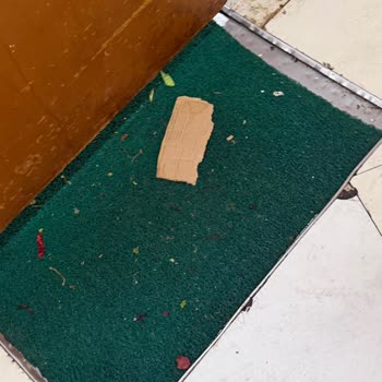 Dragut South Otel’de Hijyen Eksikliği Ve Gıda Zehirlenmesi