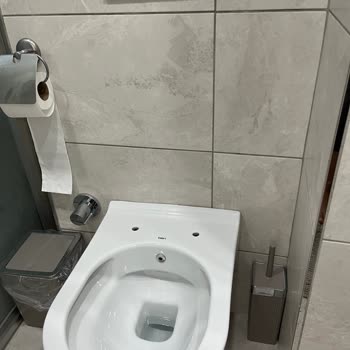 Bien Klozet Kapağında Kırılma Ve İç Bölümde Sararma: Ücretsiz Değişim Talebi