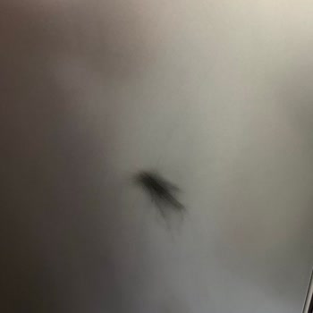 Motor Değişiminde Servisin Buzdolabına Çizik Bırakması Ve Sorumluluk Almaması