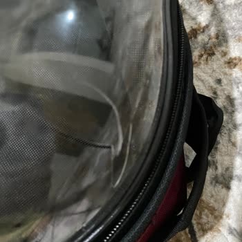 Kedi Taşıma Çantası Çatlak Ve Üzerinde Sıvı Dökülmesiyle Hasarlı