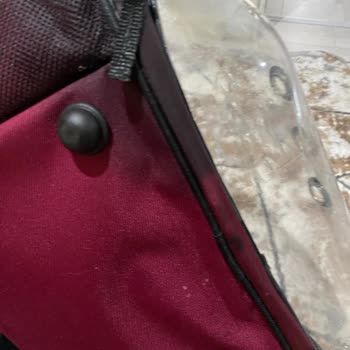 Kedi Taşıma Çantası Çatlak Ve Üzerinde Sıvı Dökülmesiyle Hasarlı