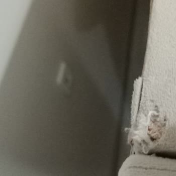 Modalife'den Çatlak Ve Kusurlu Düğün Mobilyaları İçin Çözüm Talebi