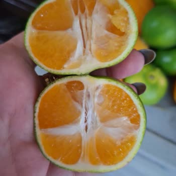 Lime İthal Ürünü İçin Hatalı 224,33 TL Tahsilatı Ve Fiyat Farkları